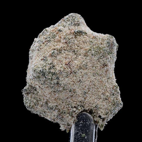 Dadirri | White Cookies | SH | Caviar Sunrocks - | 1G