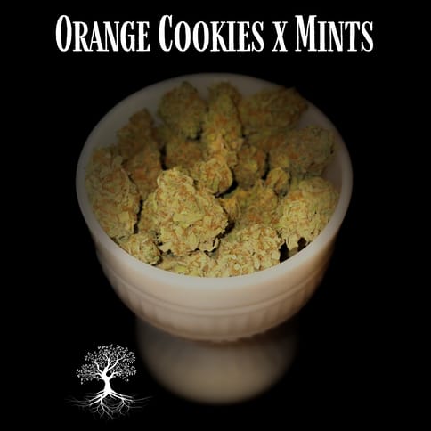 Buds - Orange Cookies x Mints
