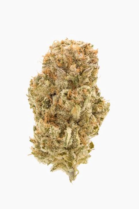 Soyuz OG Express