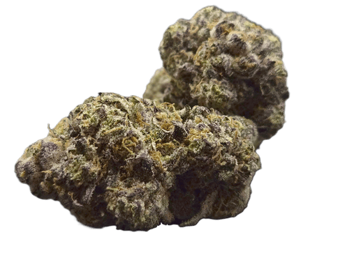 FLOWER | PUP CUP | INDICA DOMINANT HYBRID | 1 GRAM