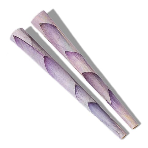 Lotus King Cones 2pk - PETALS