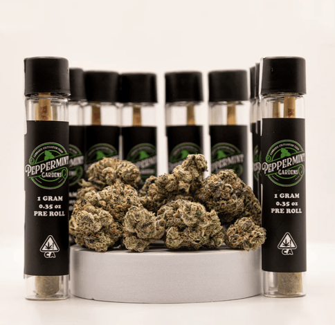 Peppermint Gardens Pre Roll