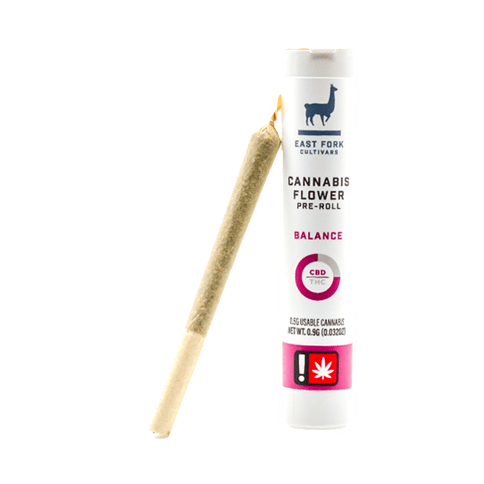 BALANCE | 3:1 CBD:THC PREROLL | PINEAPPLE JAGER | INDICA DOMINANT HYBRID | 0.5 GRAM
