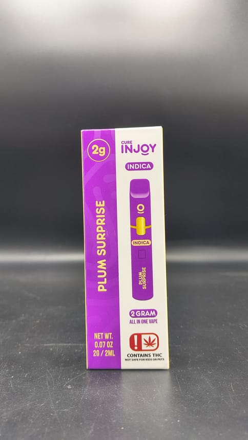 INJOY - Plum Surprise 2g Disposable (INDICA)