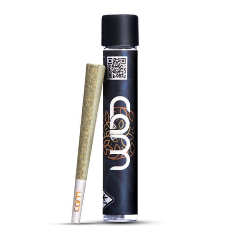 CAM - INDOOR PREROLL - PURPLE RAIN - 1G