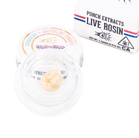 PUNCH - ROSIN BADDER - GEORGIA PEACHES TIER 4 - 1G
