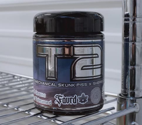 T2 14g Prepackaged Jar 5.5 Star Rated Exotic Flower | FAVRD