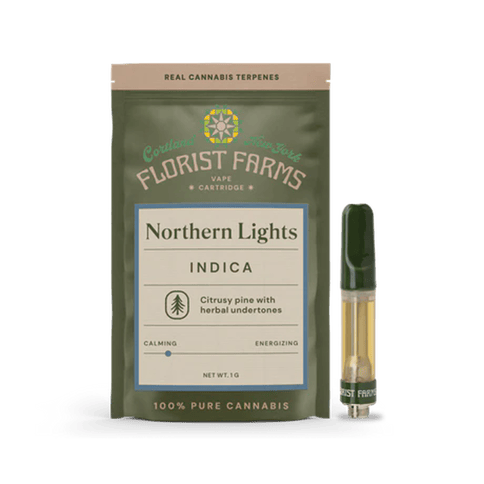 Northern Lights | 510