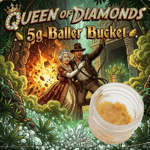 Live Rosin Baller Bucket - Queen of Diamonds - Indica Dom