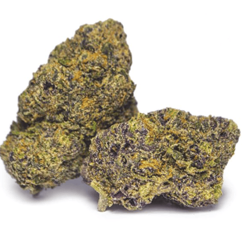Sunset Sherbet - Flower 3.5g