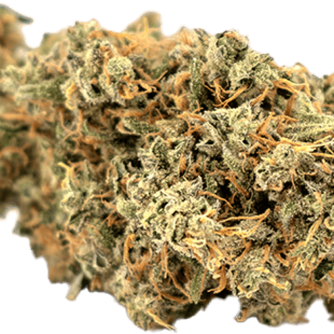 Sweet Island Skunk Flower