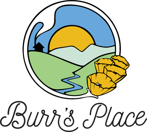 Burr's Place | Blueberry Muffin (I) |28g Flower