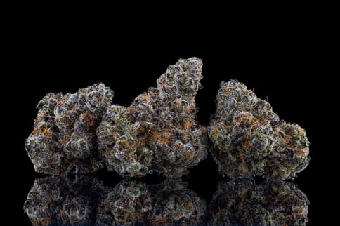 JOMO #19 (7g)
