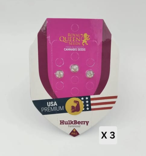 Hulkberry Feminized Seeds 3 Pack - Regular