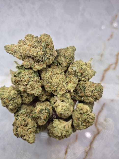 Motor Breath #15