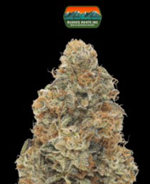 Khalifa Kush Flower 1g Dime Bag