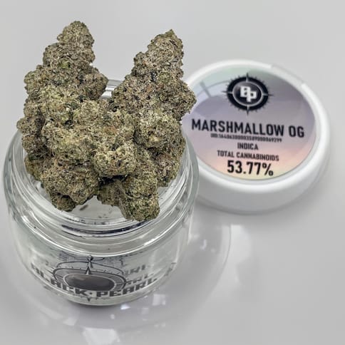 Black Pearl | Marshmallow OG| Infused Flower | Indica | 3.5g | Jar