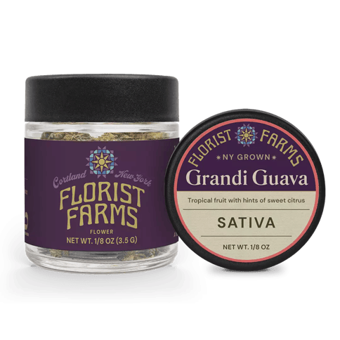 Grandi Guava 3.5g Flower