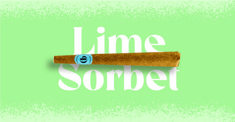 Lime Sorbet 1G Doinks Blunt