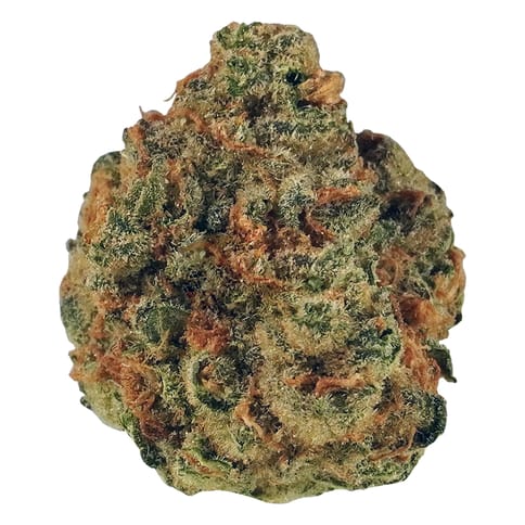 Early Lemon Berry