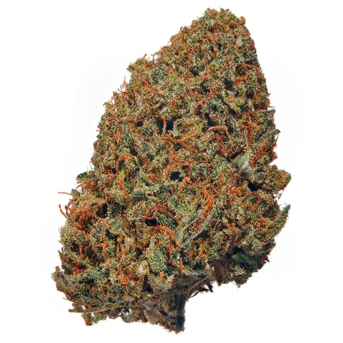 Gorilla Kush