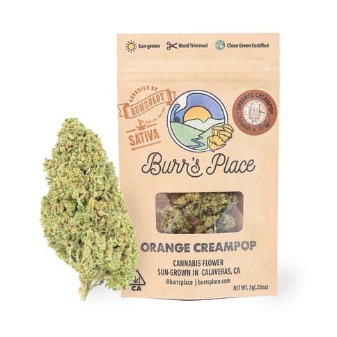 Burr's Place | Orange Creampop (S) | 7g Sungrown Flower