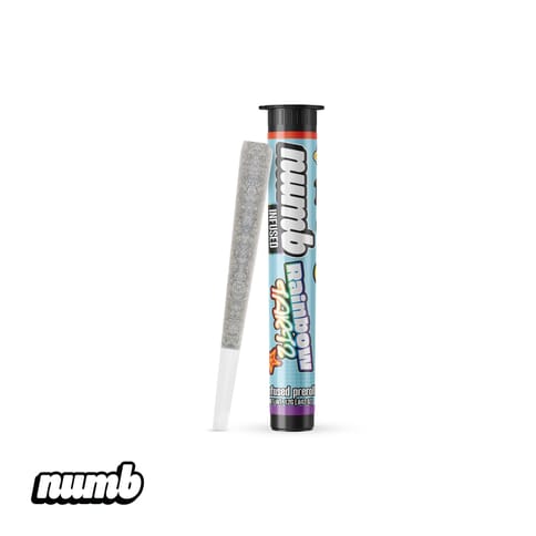 Rainbow Tartz | Numb | Infused Pre Roll | 1.2G