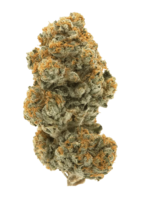 CREAM SODA