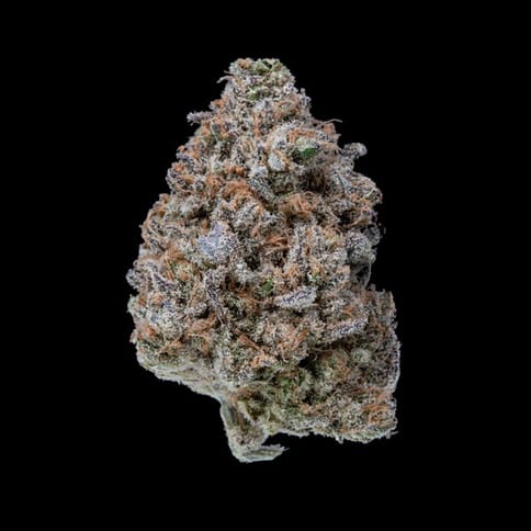 Blueberry Muffin - PreRoll 1g