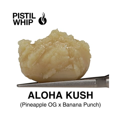 PISTIL WHIP - ROSIN BADDER - ALOHA KUSH - 1G