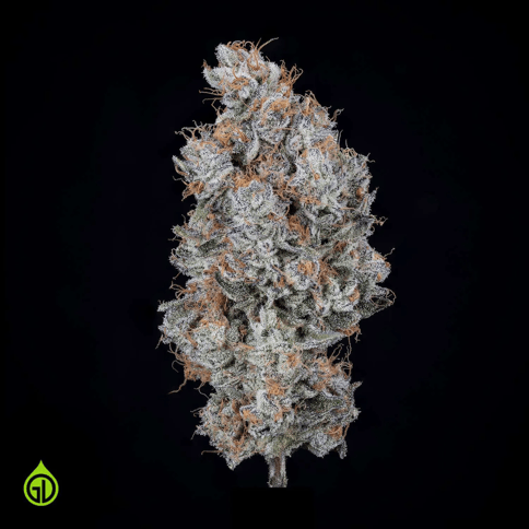 Green Dot | Belgium Blu | IH | Flower Jar | 3.5G
