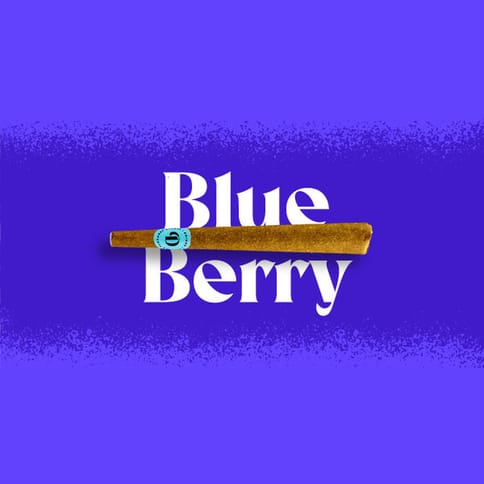 Doinks Infused Blunt | Blueberry 1g Med