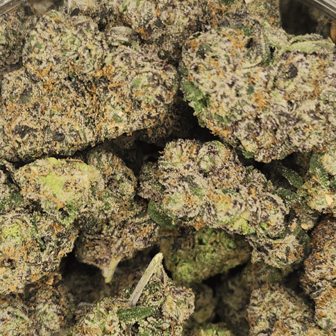 Bowhouse | Pink Runtz | Bulk Flower - B's