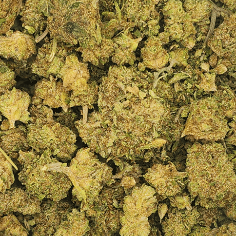 GreenCo | Ice Cream Cake x Chimera 3 x Beans | Hybrid | 28g | Flower