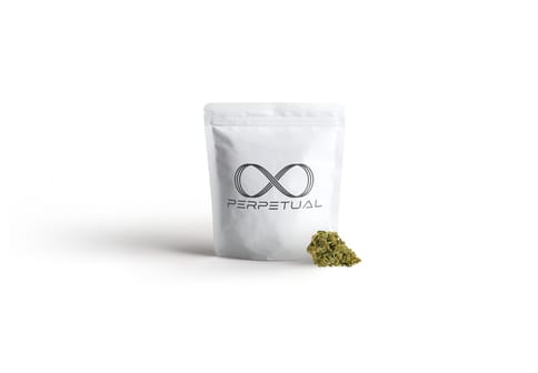 Jumpman #2 (Hybrid) | 3.5G Flower | by Perpetual