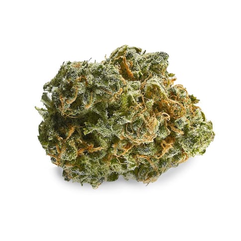 Sour Truffle Deli Flower New Jeezum