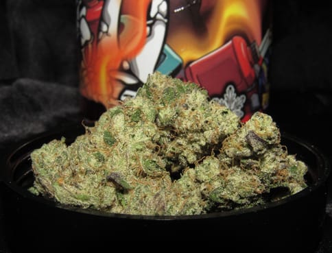 Tear Gas #9 29g Pre-Packaged Flower Jar | FAVRD | 6★ - 29g Jar