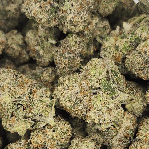 Purple Thai x ATF - Bulk Flower - Purple Thai x ATF A Buds