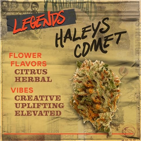 Haley's Comet - 3.5g Flower
