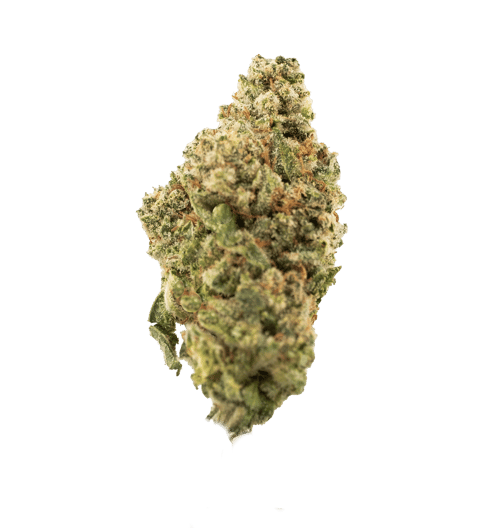 GG4 - LL - 3.5G