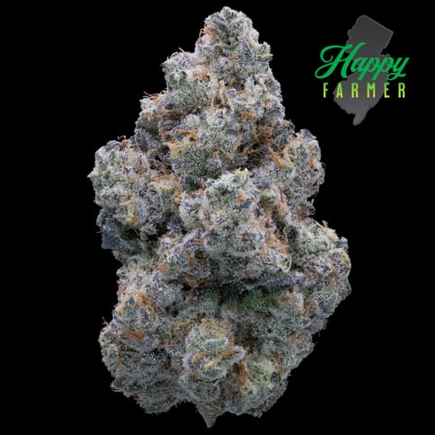MAC Stomper Smalls (7g)
