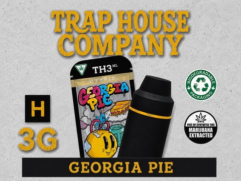 THC TH3ML Disposable 3ml Vape - Georgia Pie