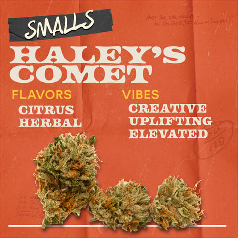 Haley's Comet - 7g Smalls Flower