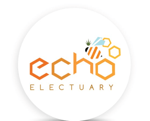 Echo Electuary | Sour Diesel Live Nectar Cart | 1g
