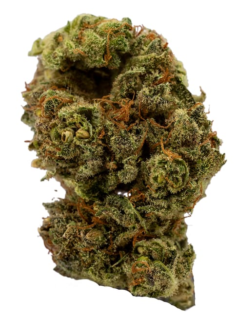 Sour Diesel Sativa