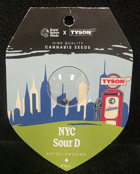 Auto Flowering Seeds - NYC Sour Diesel (Royal Queen X Tyson 2.0)