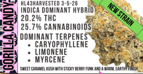 Gorilla Candy - 1g Pre-Roll 3 Pack