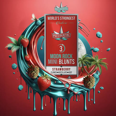 KB - PRESIDENTIAL - INFUSED BLUNT MULTIPACK - STRAWBERRY - 2.1G
