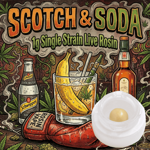 Single Strain Live Rosin - Scotch & Soda - Indica Dom - 1g
