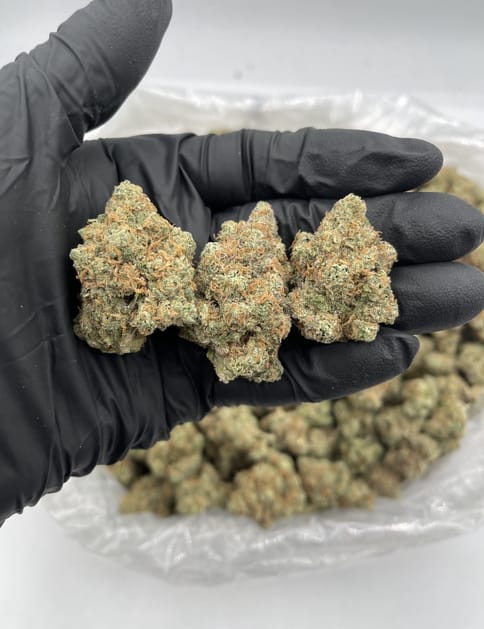 Exotic | Banana Punch - 3.5 grams